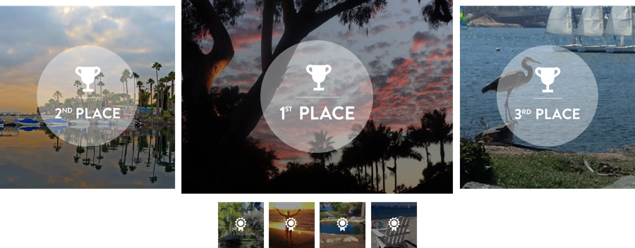A lineup of sample Photo Contest winners & runners-up