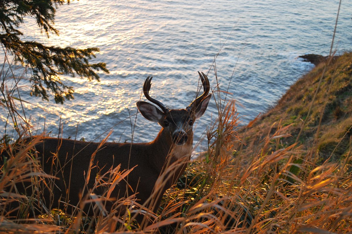 Adrift Hotel—Top April 2016