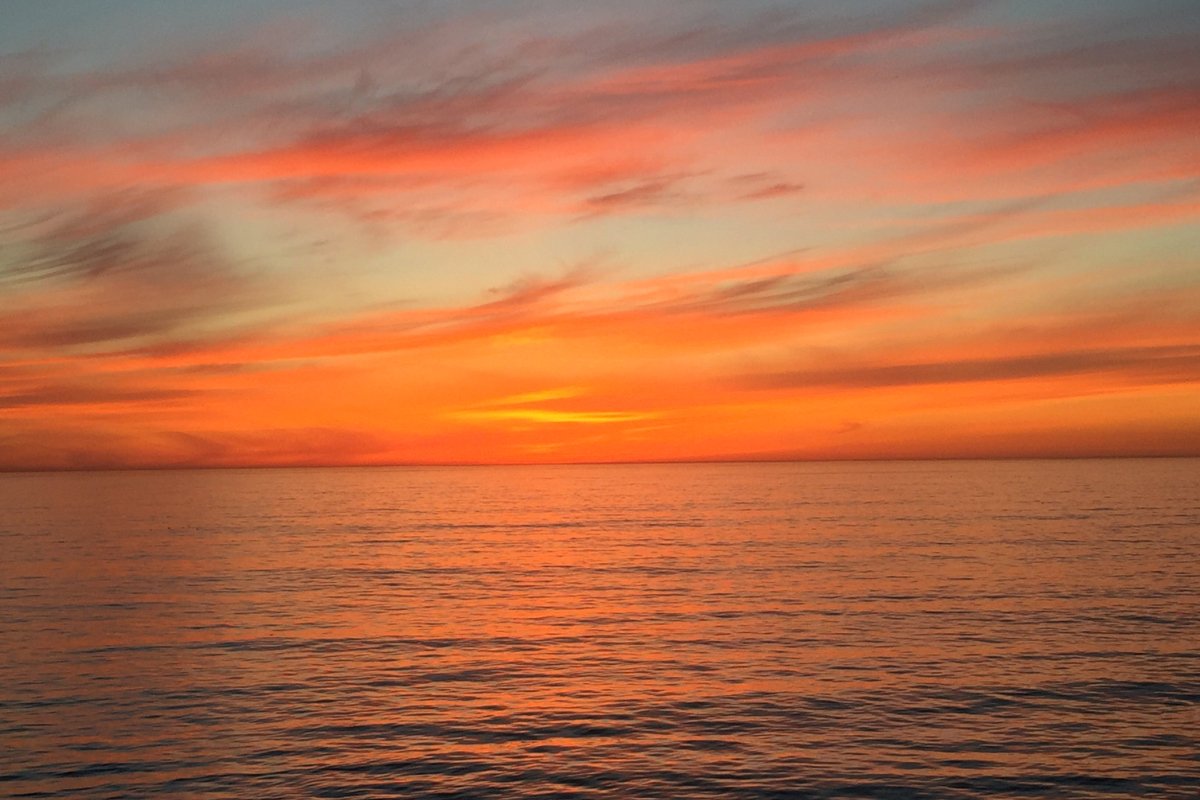 Shore Hotel—Top April 2016