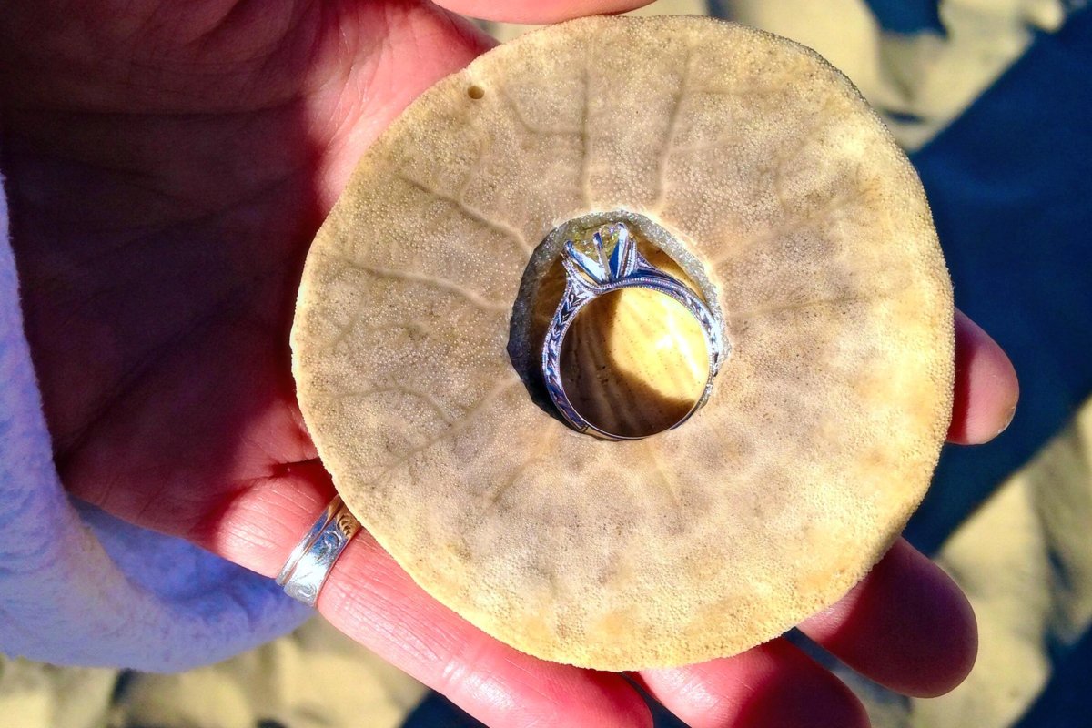 SeaVenture—Top June 2016