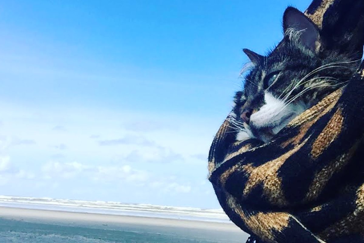 Adrift Hotel & Spa—Top May 2016