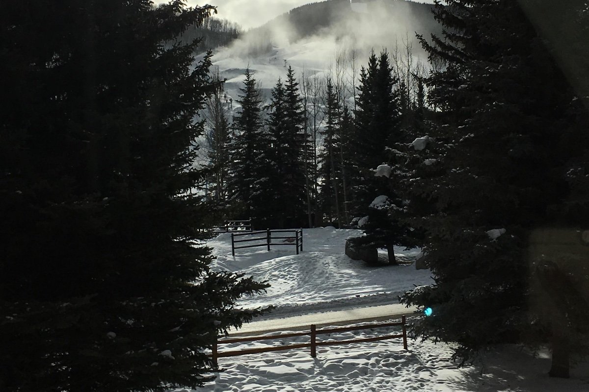 Tivoli a favorite Flip.to guest story from July